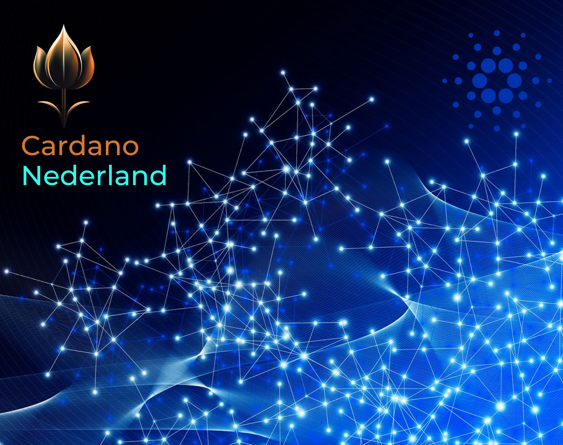 Over Cardano Nederland - Cardano Nederland