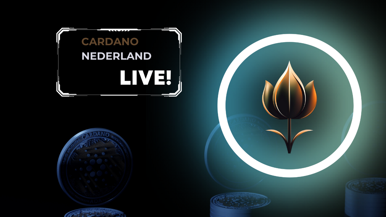 Cardano Nederland gelanceerd - Cardano Nederland