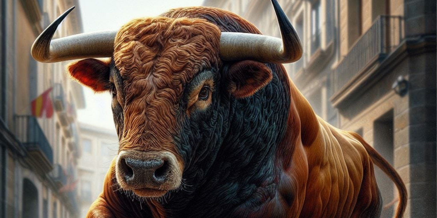 Bullmarket
