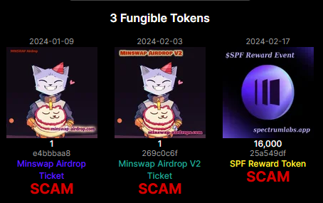 Scammers gebruiken Scam tokens, deze worden weergegeven op Pool PM