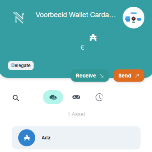 Voorbeeld Nami Wallet